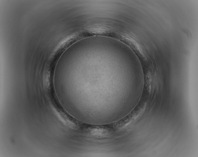 X0000112090400200908041454