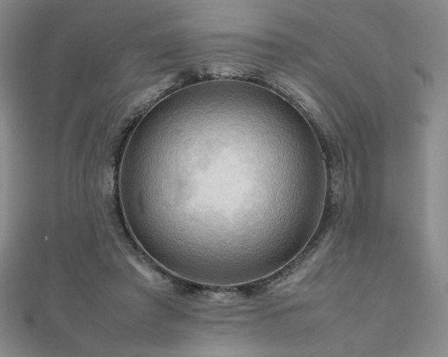 X0000112090401200908041454