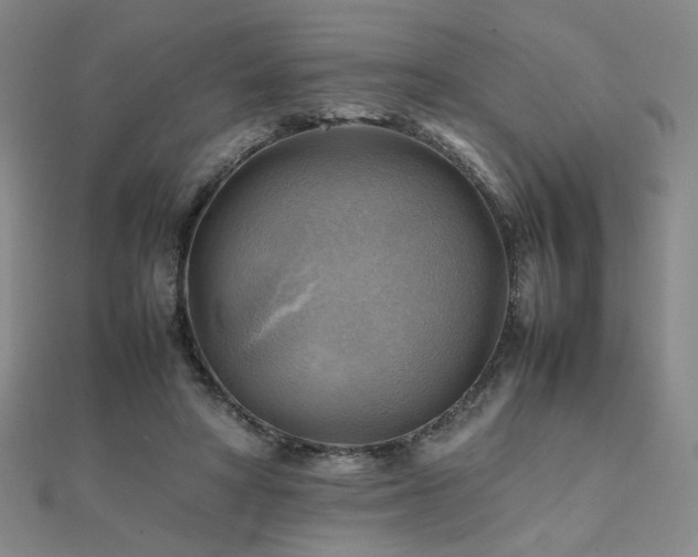 X0000112090402200908041454