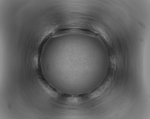 X0000112090404200908041454