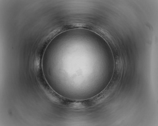 X0000112090406200908041454