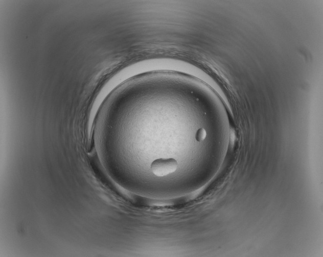 X0000112090407200908041454