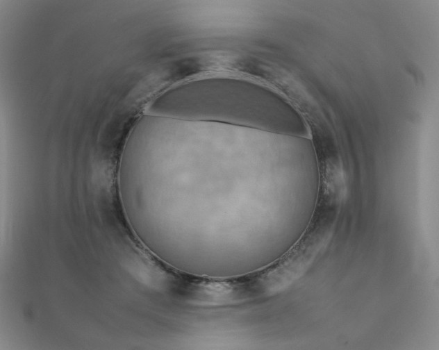 X0000112090409200908041454