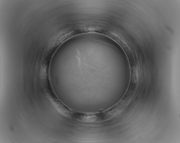 X0000112090410200908041454