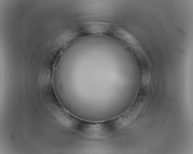 X0000112090411200908041454