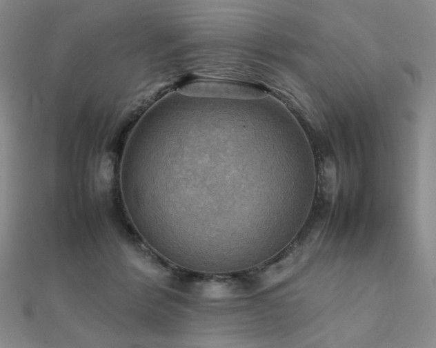 X0000112090412200908041454