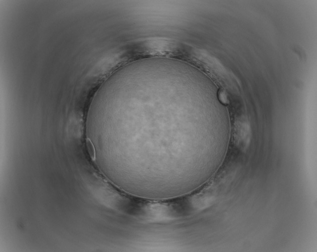 X0000112090413200908041454