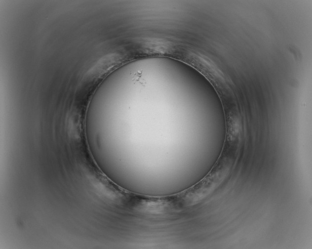 X0000112090414200908041454