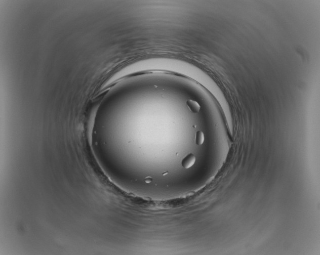 X0000112090415200908041454