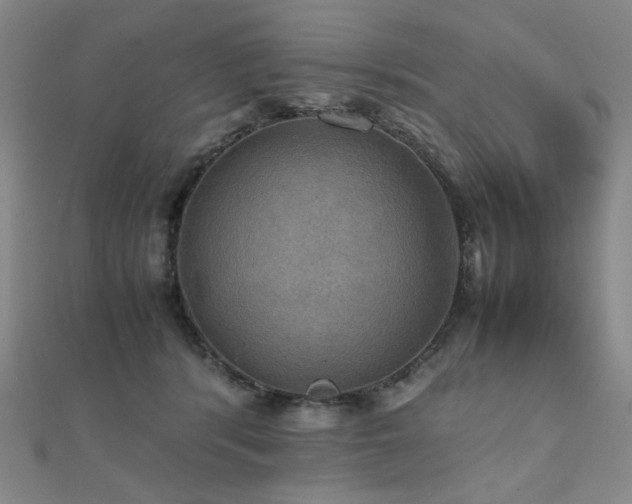 X0000112090416200908041454
