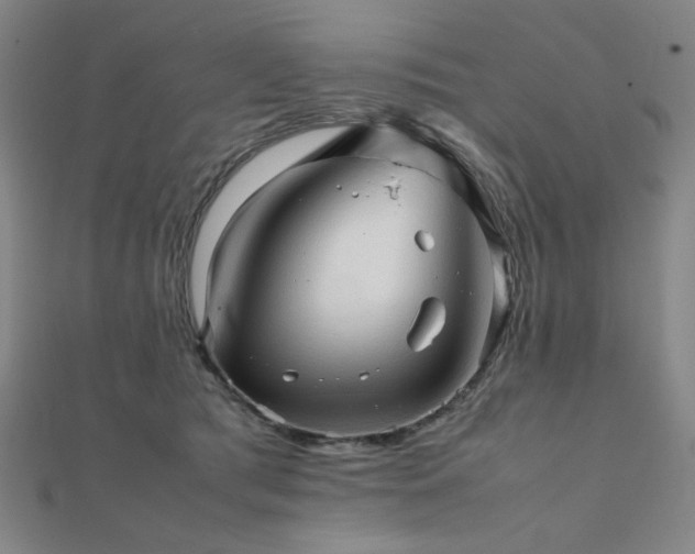 X0000112090417200908041454
