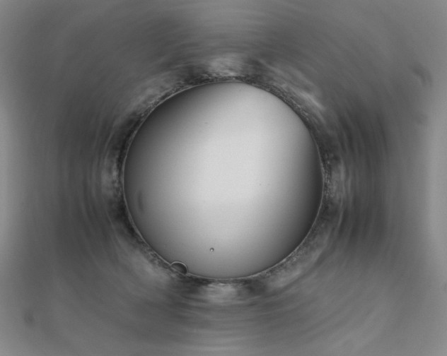 X0000112090418200908041454