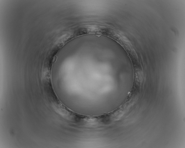 X0000112090419200908041454
