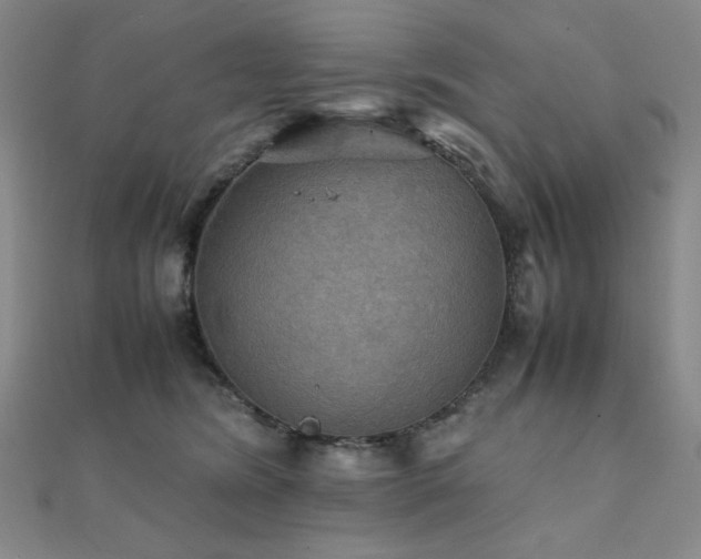 X0000112090420200908041454