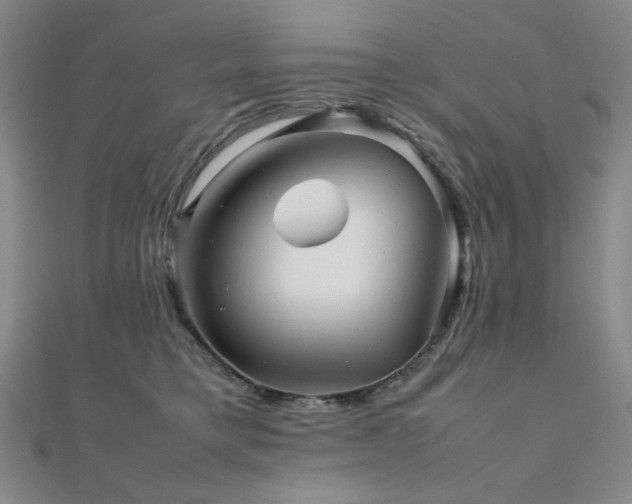 X0000112090421200908041454