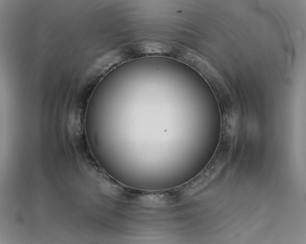 X0000112090422200908041454