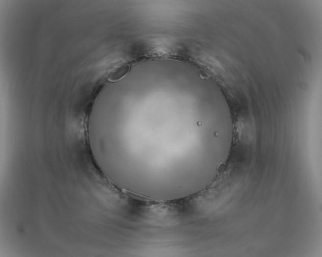 X0000112090423200908041454
