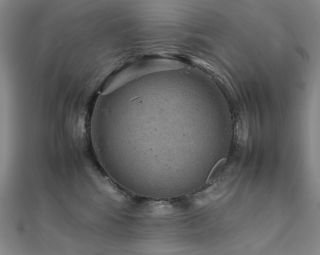 X0000112090424200908041454