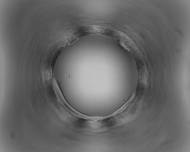 X0000112090425200908041454