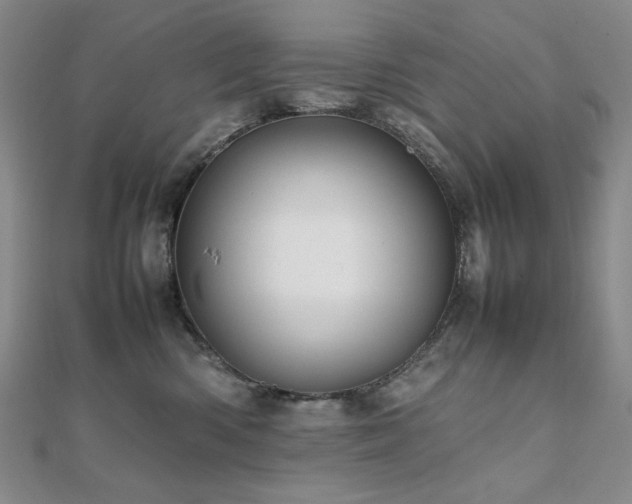 X0000112090426200908041454