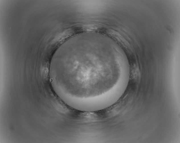 X0000112090427200908041454