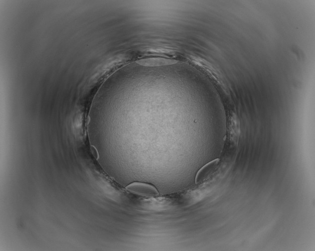 X0000112090428200908041454