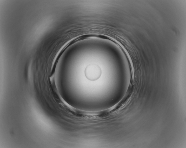 X0000112090429200908041454
