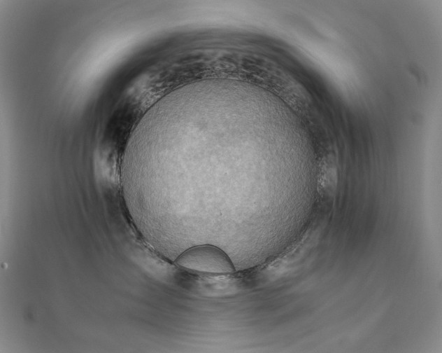 X0000112090431200908041454