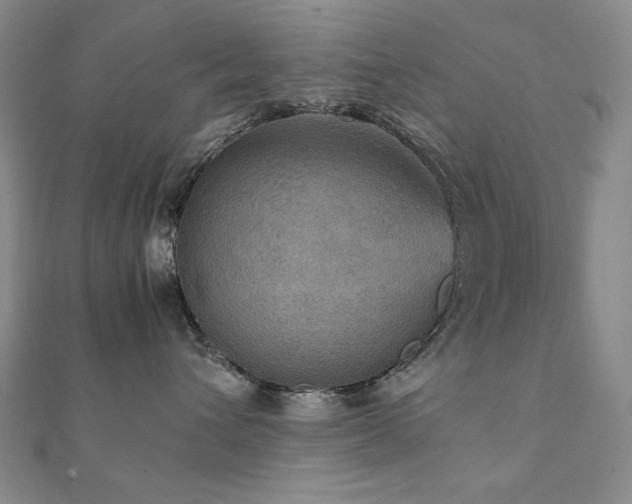 X0000112090432200908041454