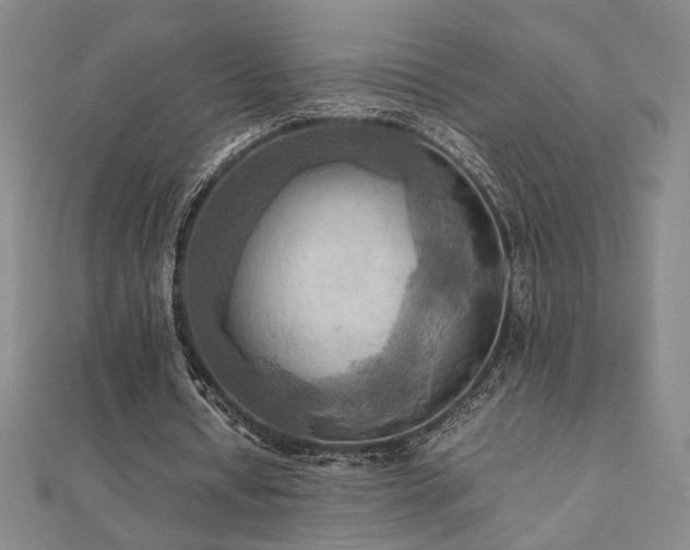 X0000112090434200908041453