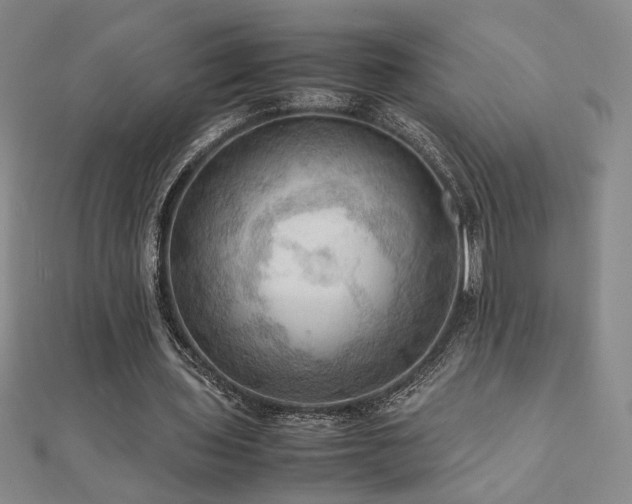 X0000112090435200908041453