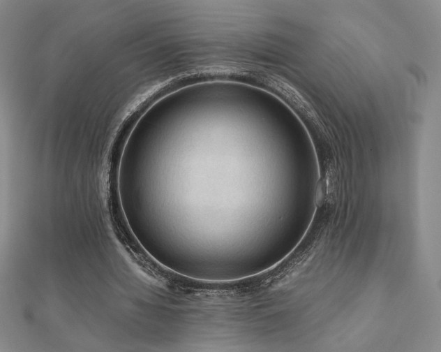 X0000112090436200908041453