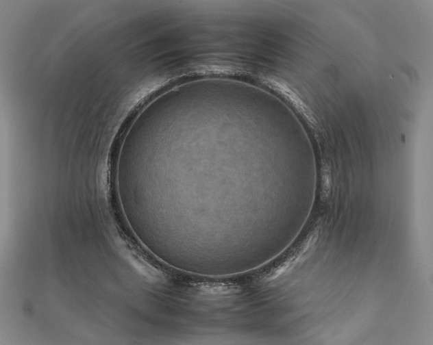 X0000112090439200908041453