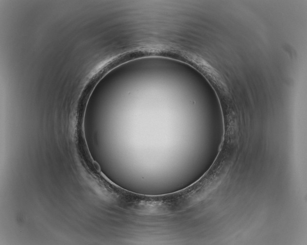 X0000112090440200908041453