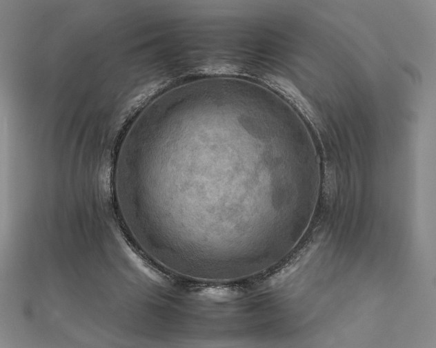 X0000112090441200908041453