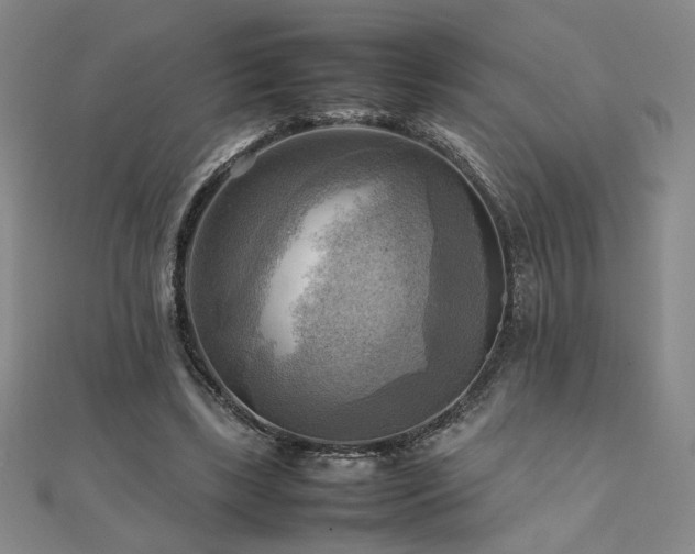 X0000112090443200908041453
