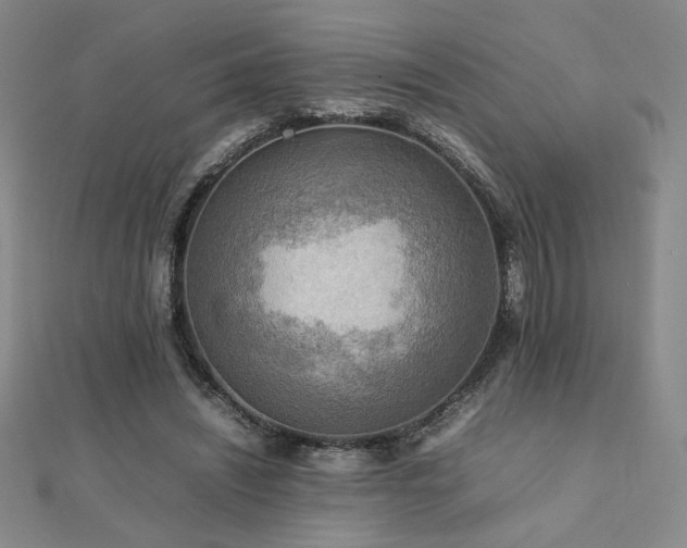 X0000112090444200908041453