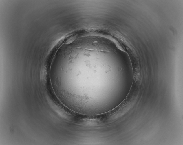 X0000112090448200908041453