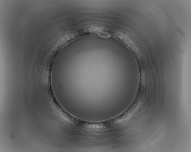X0000112090449200908041453
