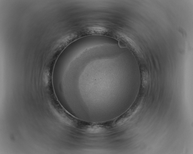 X0000112090451200908041453