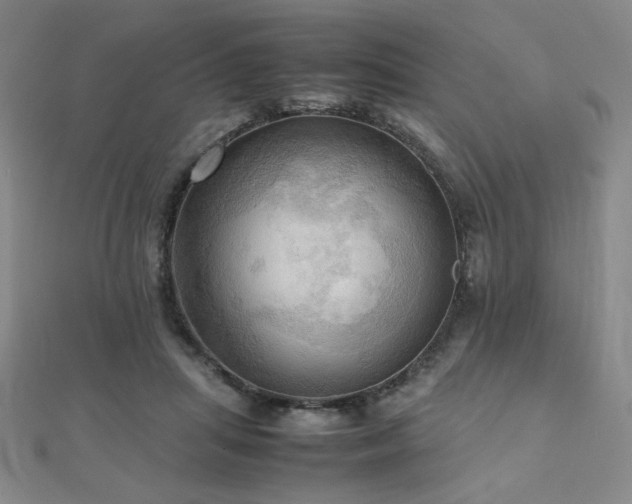 X0000112090455200908041453