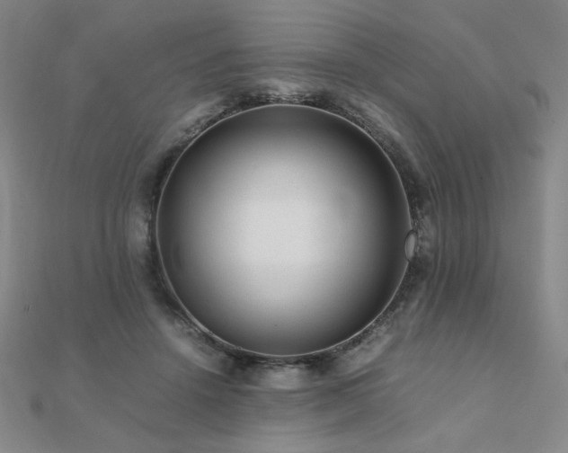 X0000112090456200908041453