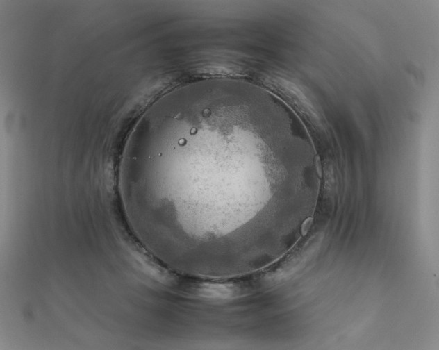 X0000112090457200908041453