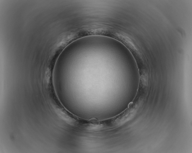X0000112090458200908041454