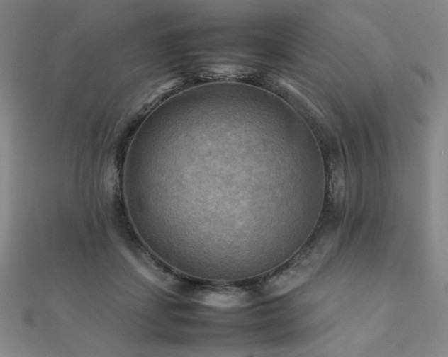 X0000112090459200908041454