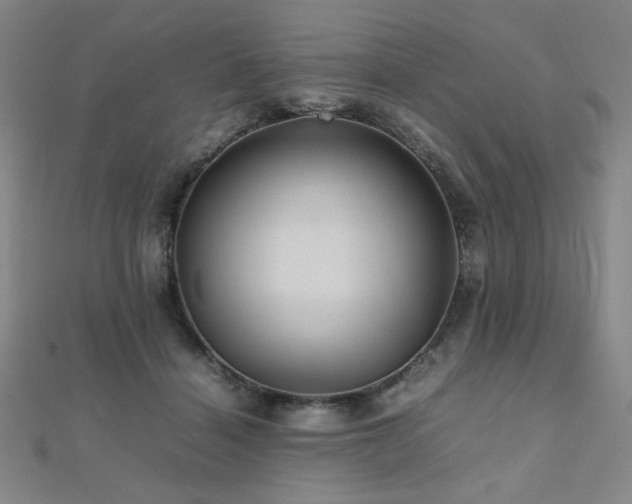 X0000112090460200908041454
