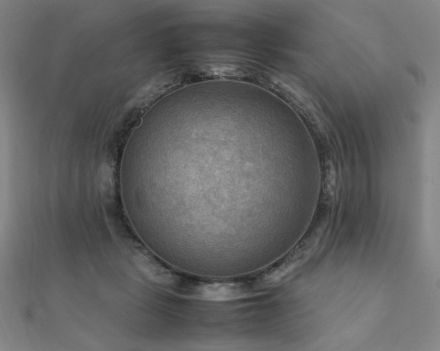 X0000112090461200908041454