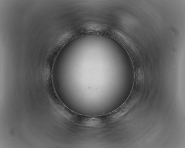 X0000112090463200908041454