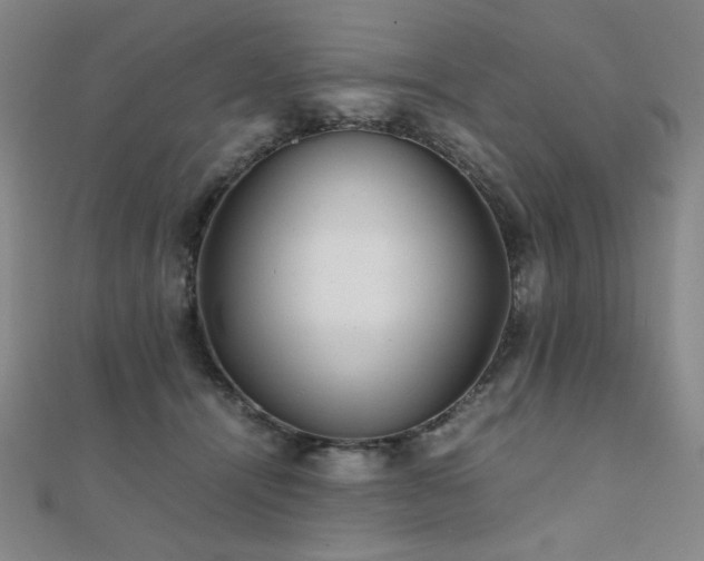 X0000112090464200908041454
