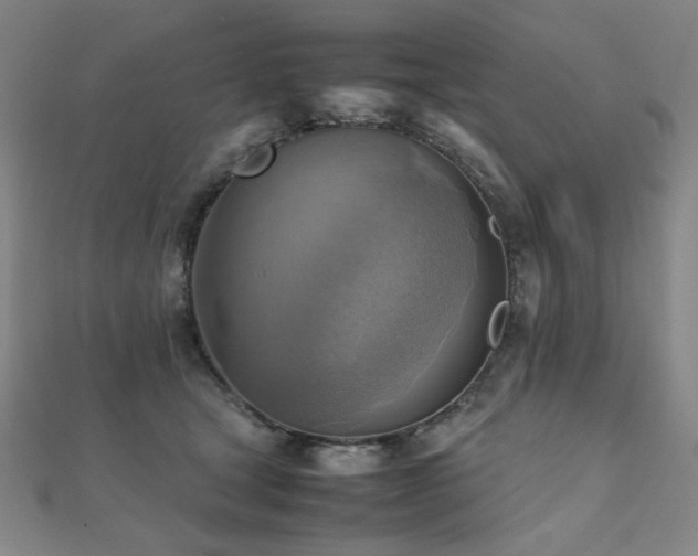 X0000112090465200908041454